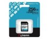Kingston Karta pamięci SD 256GB Canvas Go Plus 200/160 MB/s C10 U3 V30
